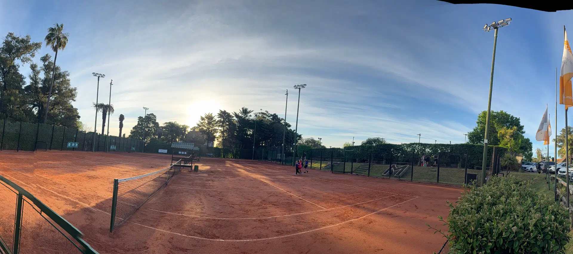 Tenis